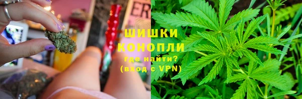 PSILOCYBIN Аркадак